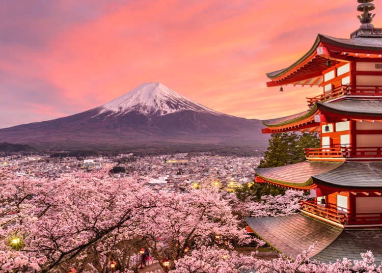 Japan Travel Tips: 8 Things I Wish I'd Known Before Going to Japan