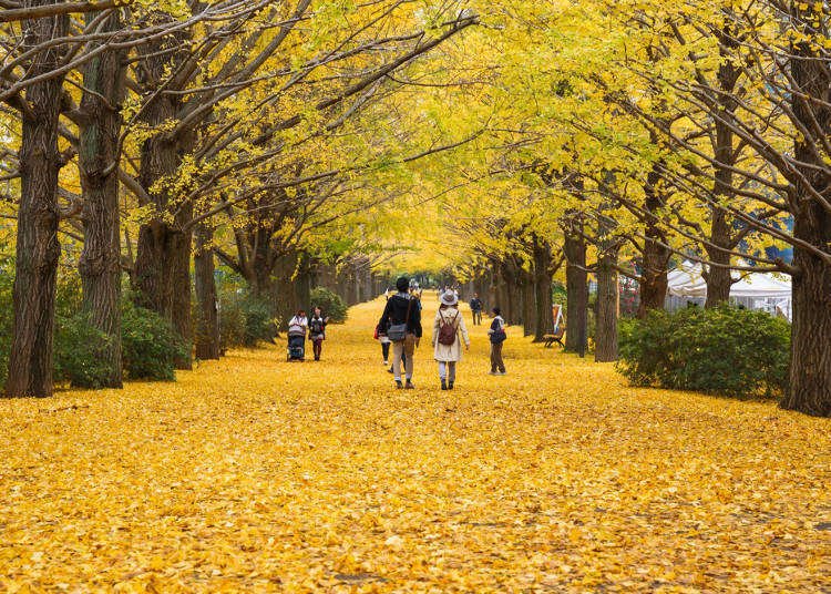 Visiting Tokyo in Autumn: Travel & Weather Guide for September-November
