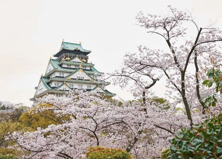 Kansai Cherry Blossoms Guide: Best 8 Places To See Sakura in Osaka, Kyoto and Nara (2022)