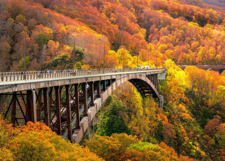 Aomori in Autumn 2021: 10 Best Places for Fall Foliage and Dreamy Natural Scenery