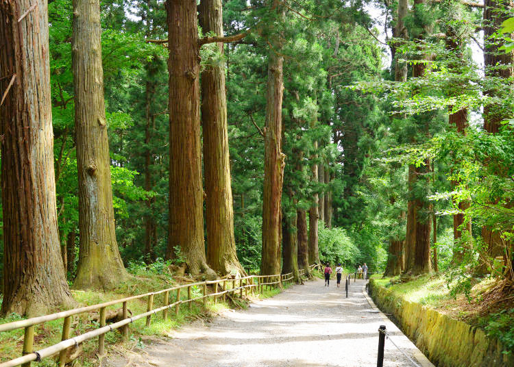 7 Best Places to Visit in Hiraizumi: This Hidden Area in Japan Will Make You Believe in Fairy Tales