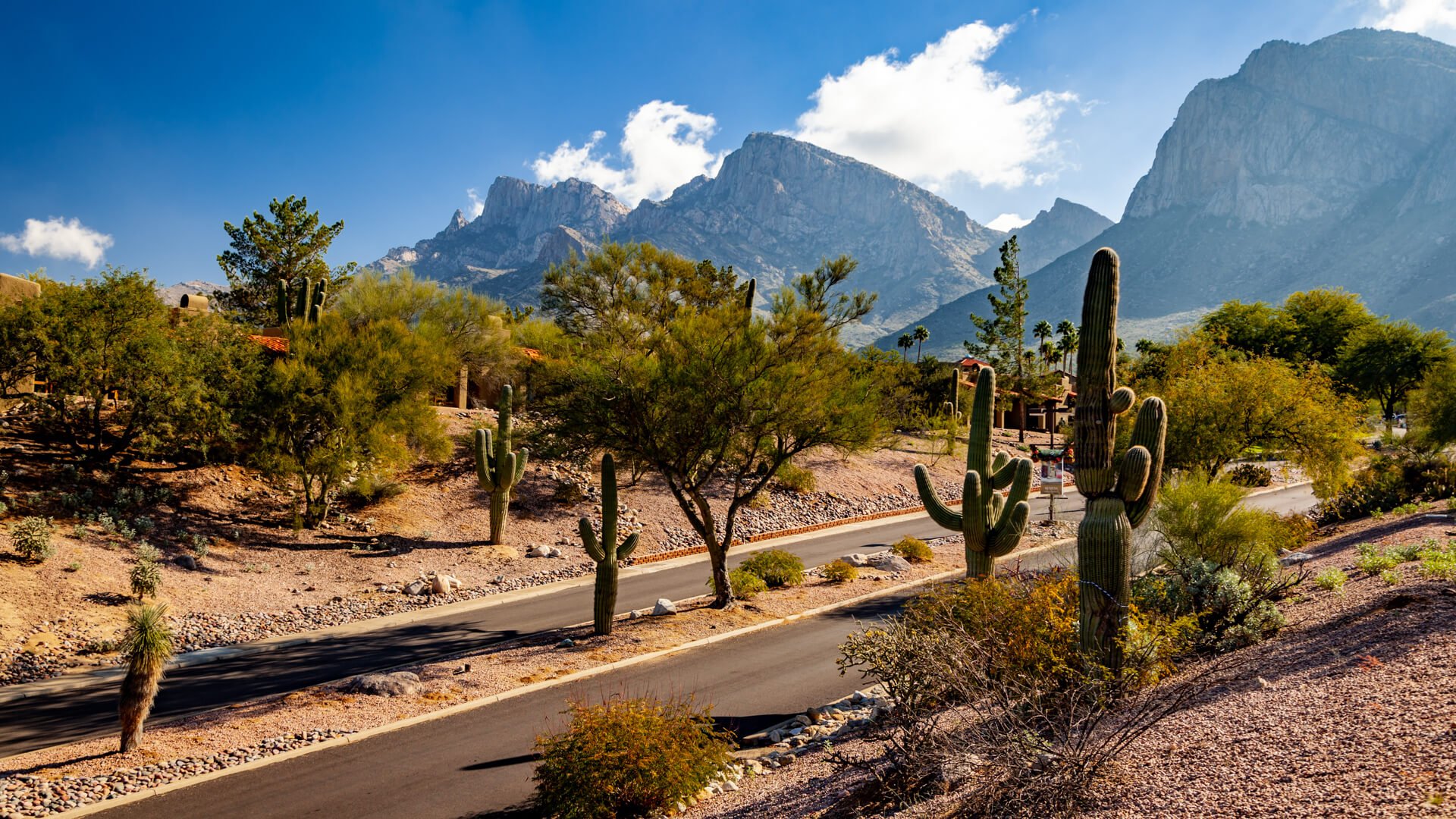 10 Affordable Places To Retire in the Desert