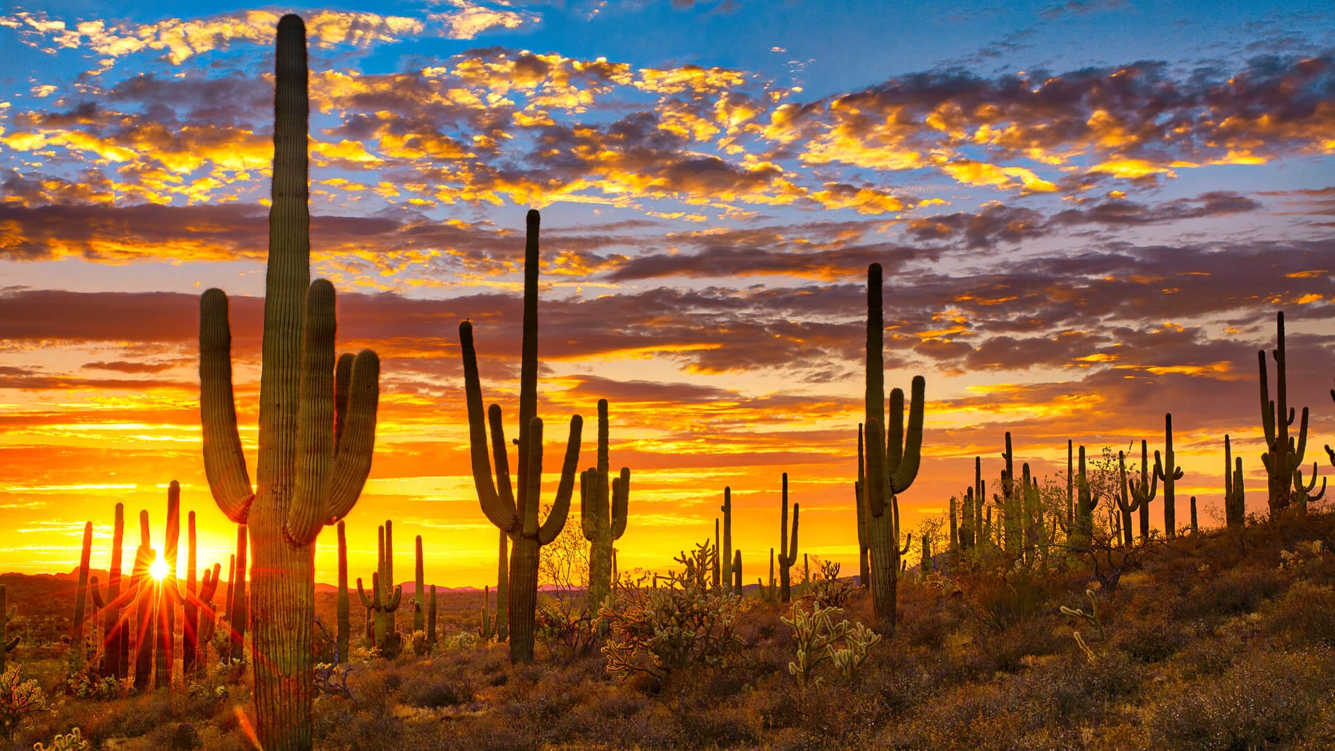 4 Best Arizona Cities To Retire on $2,500 a Month