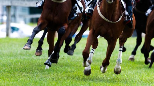 how-much-do-you-win-for-winning-the-kentucky-derby-flipboard