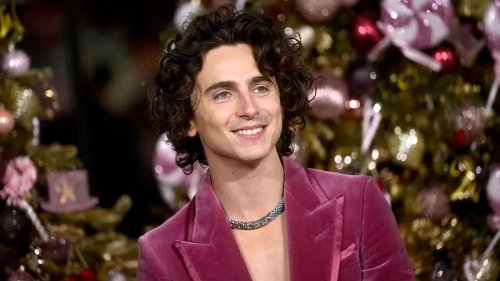 Following the success of ‘Dune’ and ‘Wonka,’ Timothée Chalamet has signed a multi-year agreement with Warner Bros