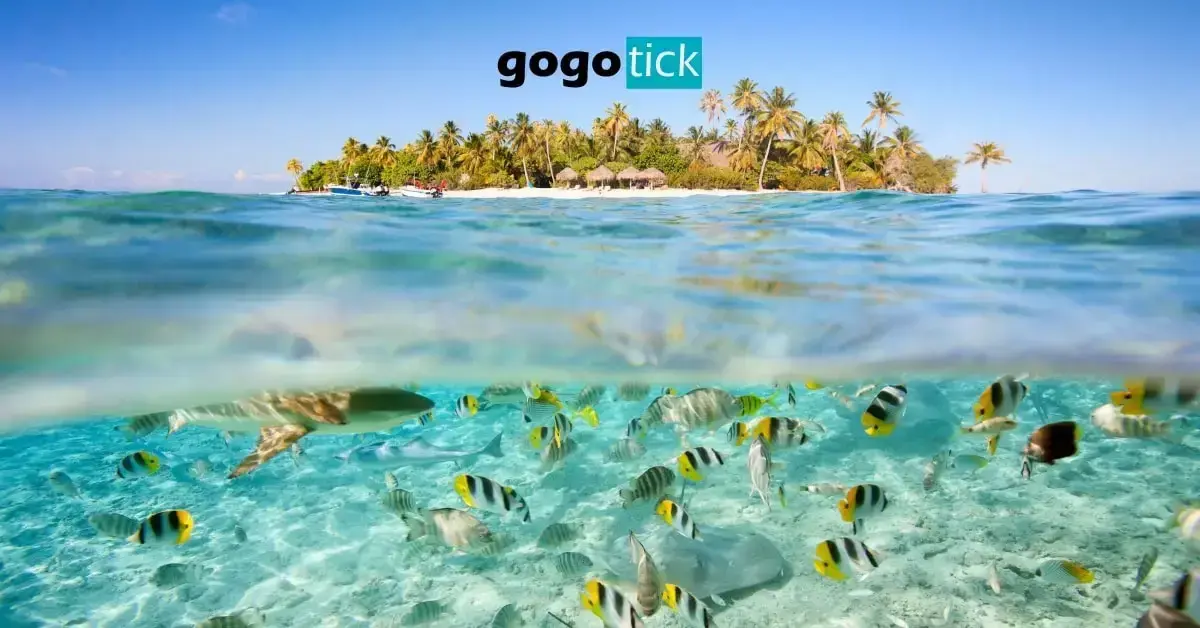 How To Take Underwater Photos With Your Phone - Gogotick