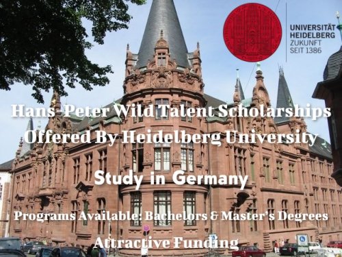 Hans-Peter Wild Talent Scholarships for Bachelors and Master’s Degrees