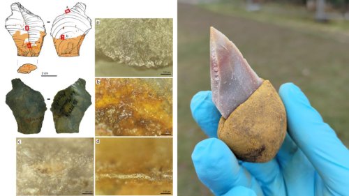 Neandertaler verwendeten bereits Mehrkomponenten-Kleber