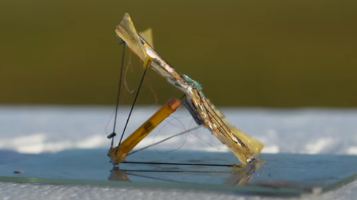 Winzige Mikroroboter ändern ihre Form im Flug