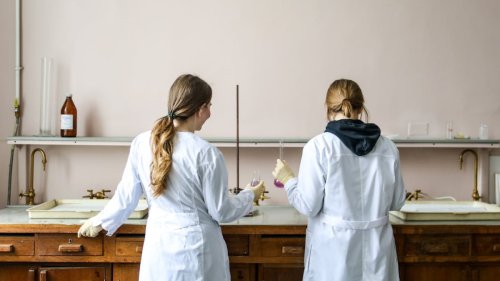 75 Prozent der Wissenschaftler könnten die USA verlassen