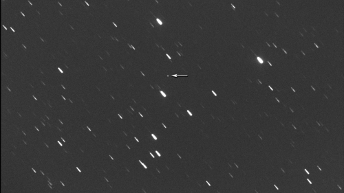Stadiongroßer Asteroid fliegt an Erde vorbei