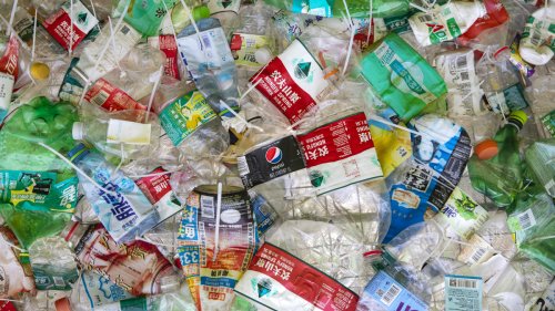 Leipziger Forscher entdecken Enzym für Plastikrecycling