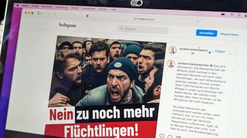 AfD nutzt KI-Fotos für propagandistische Zwecke