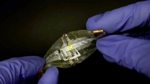 Batterie aus Hydrogel funktioniert verformt und gedreht