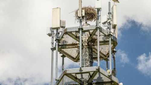 Höttges nennt Roamingdeal von Vodafone mit 1&1 "irrsinnig"