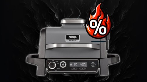 Der beste Grill - Ninja Woodfire mit 100 Euro Rabatt