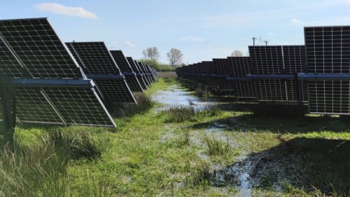 Solarstrom aus Mooren löst mehrere Probleme