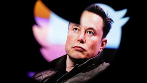 Elon Musk mischt sich in deutsche Migrationspolitik ein
