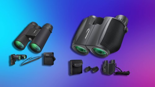 Bestseller-Fernglas bei Amazon für nur 22,25 Euro sichern