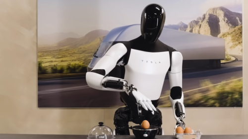 Teslas humanoidem Roboter fehlen die Zutaten