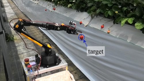 Autonomer Roboter navigiert mit Lidar im Hochbeet
