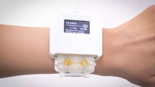Smartwatch mit lebendem Organismus zum Füttern