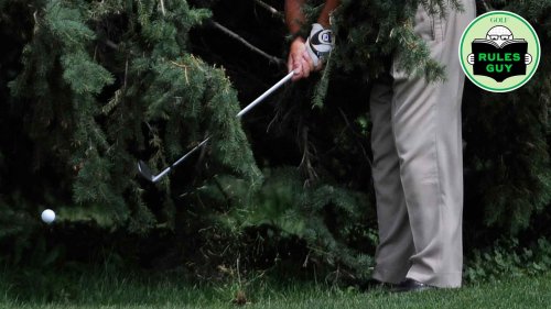 Rules Guy: I broke a tree branch with my backswing. Is that a penalty?