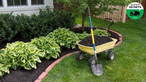 How to mulch your yard like a pro, according to a landscaping expert