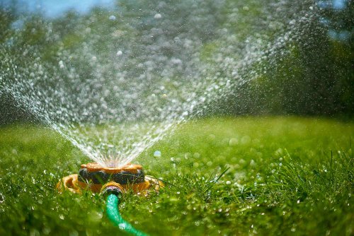 How much (and when!) to water your lawn, according to a golf-course superintendent