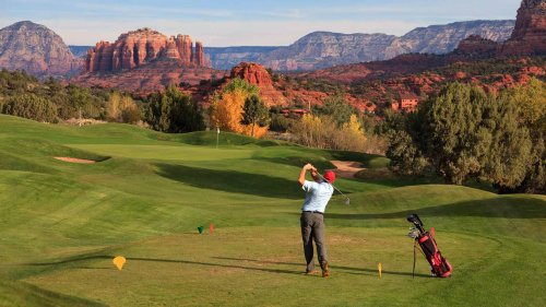 How should you determine which tee box to play from?