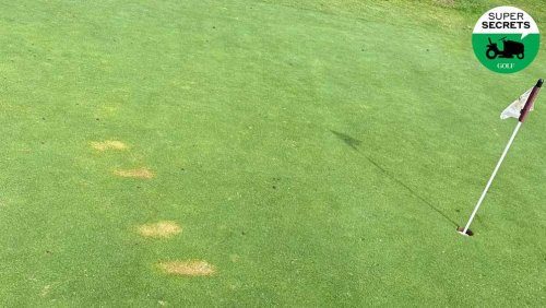 Why grinding on your putting can be bad for greens. A superintendent explains