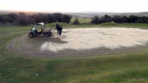 Why golf courses put sand on greens (and why you might want to sand your own yard)