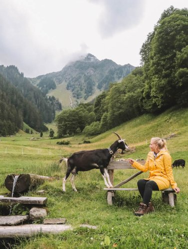 Sehenswürdigkeiten Österreich: meine 7 Lieblingsorte & besten Tipps für das malerische Alpenland