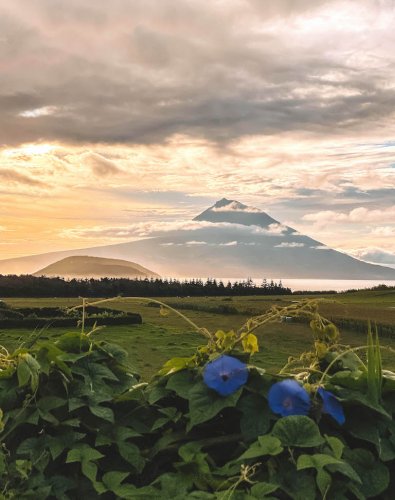 Pico: Sehenswürdigkeiten & Highlights der grauen Vulkaninsel auf den Azoren