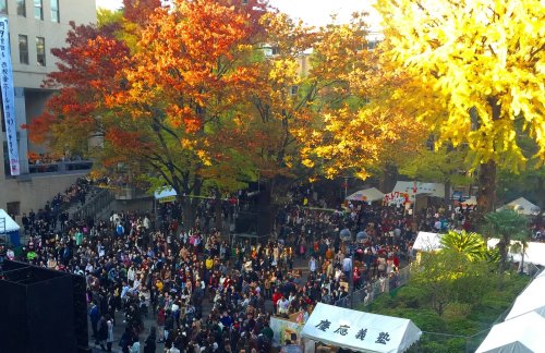 Wenn es im Kopf zu laut ist, hilft die Uni in Japan