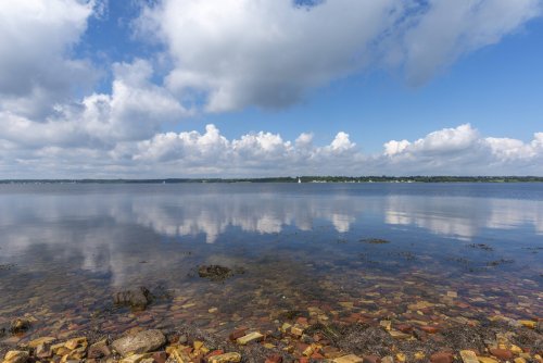 Keine Muschelfischerei mehr in der Flensburger Förde | Neuer Recycling-Ansatz für Windeln