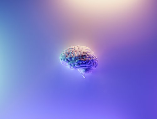 Virtuelles Gehirn hilft bei Epilepsie-OPs, Erdgasleitungen für Wasserstoff, wegweisende Klimaresolution der UN