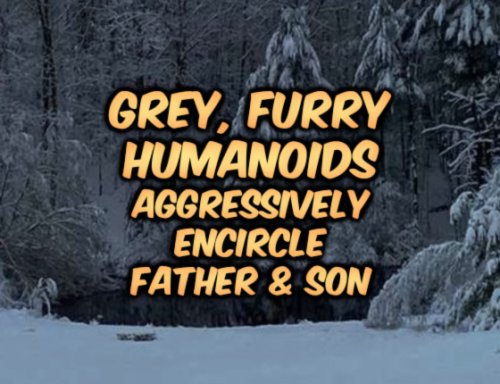 Grey, Furry Humanoids Aggressively Encircle Father & Son
