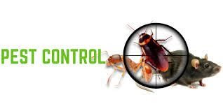 Pest Control Services In Hyderabad For Homes & Offices - Pestosol Pest Control Services In Hyderabad