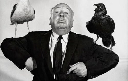 Still Portraits of Alfred Hitchcock Posing With Birds in Promotion for His Film, ‘The Birds’