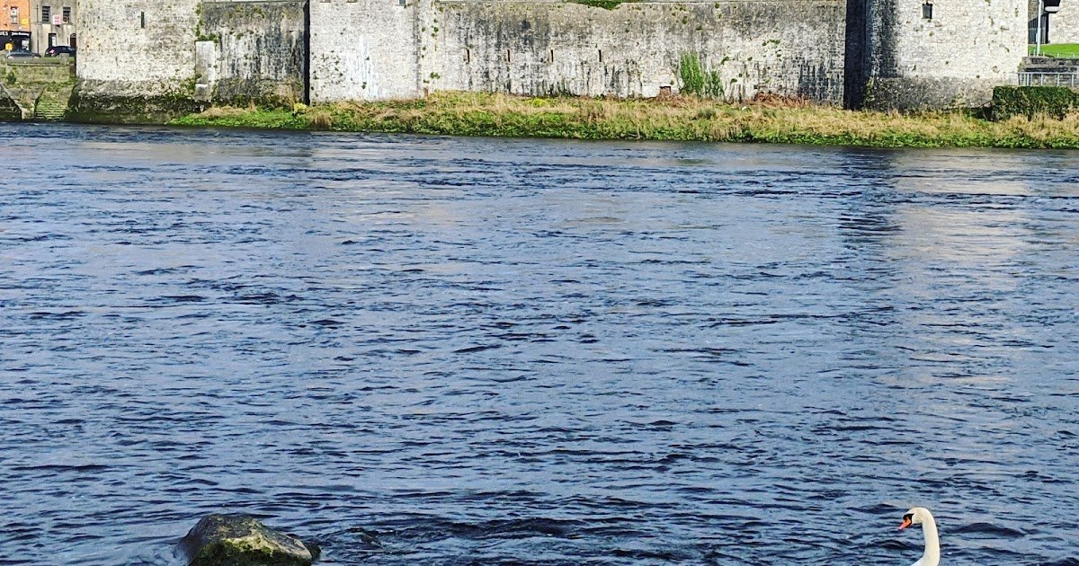 Why Visit Limerick? 15 Great Things to See, Do, and Eat (Plus Bonus Limericks!)