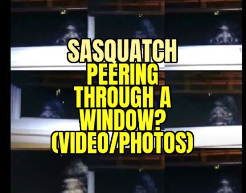 Sasquatch Peering Through a Window? (VIDEO/PHOTOS)