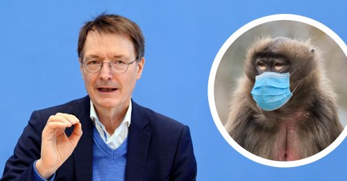 Wegen Pocken: Lauterbach plant Maskenpflicht für Affen