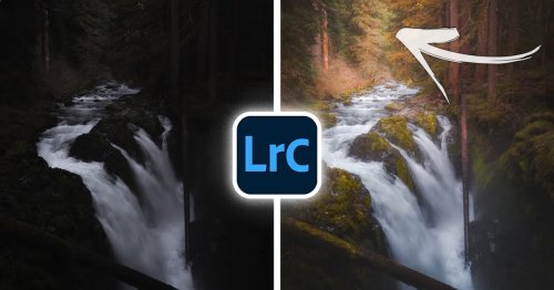 99% of Lightroom Photographers Improve with this One Change