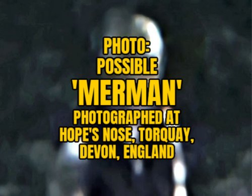 PHOTO: Possible 'Merman' Observed at Hope's Nose, Torquay, Devon, England