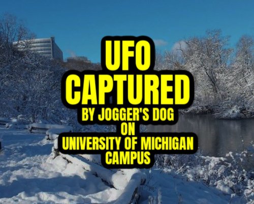 UFO Captured by Jogger's Dog on University of Michigan Campus