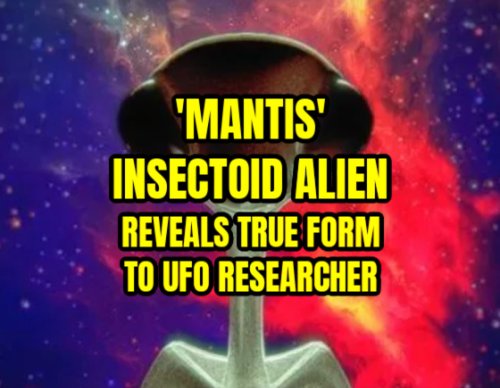 'Mantis' Insectoid Alien Reveals True Form to UFO Researcher