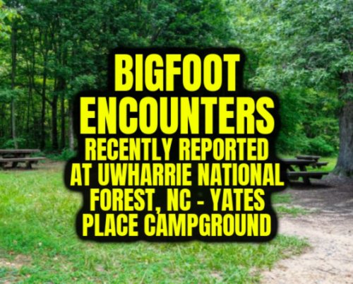 Bigfoot Encounters Recently Reported at Uwharrie National Forest, NC - Yates Place Campground