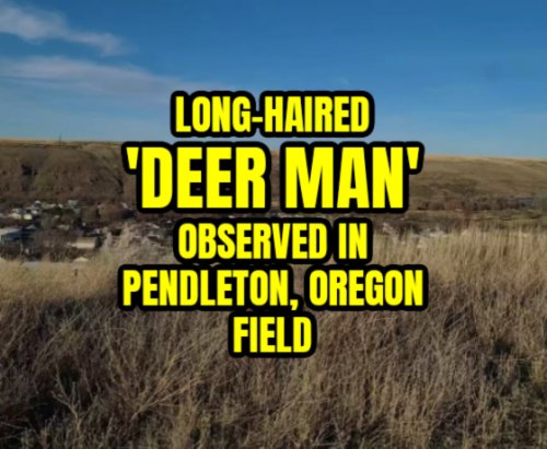 Long-Haired 'Deer Man' Observed in Pendleton, Oregon Field