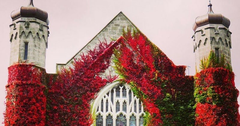 Why NUIG is One of the Best Things About Galway